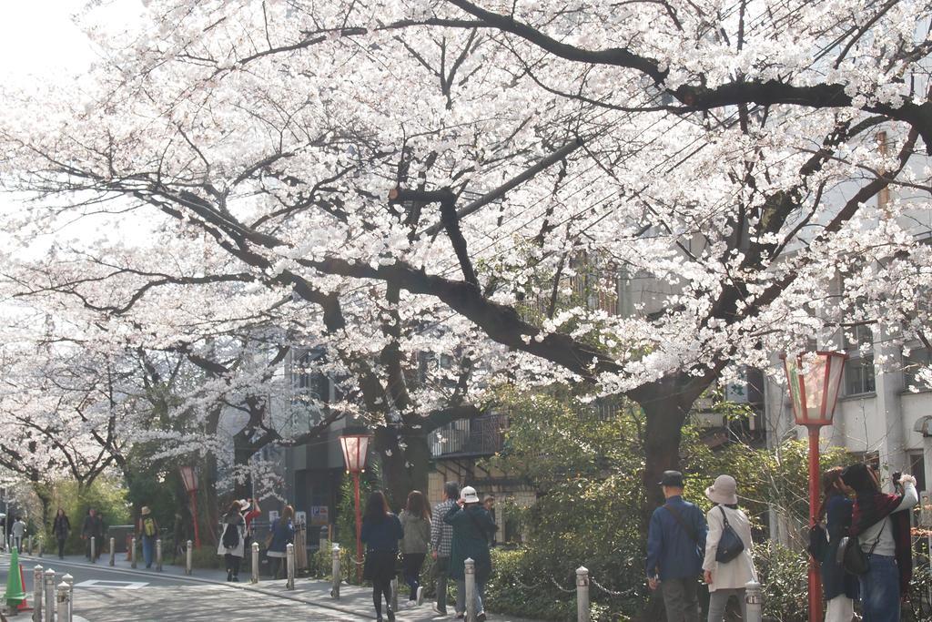 Bijuu Hotel Kyoto Luaran gambar