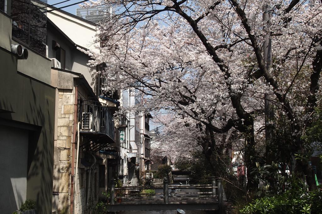 Bijuu Hotel Kyoto Luaran gambar