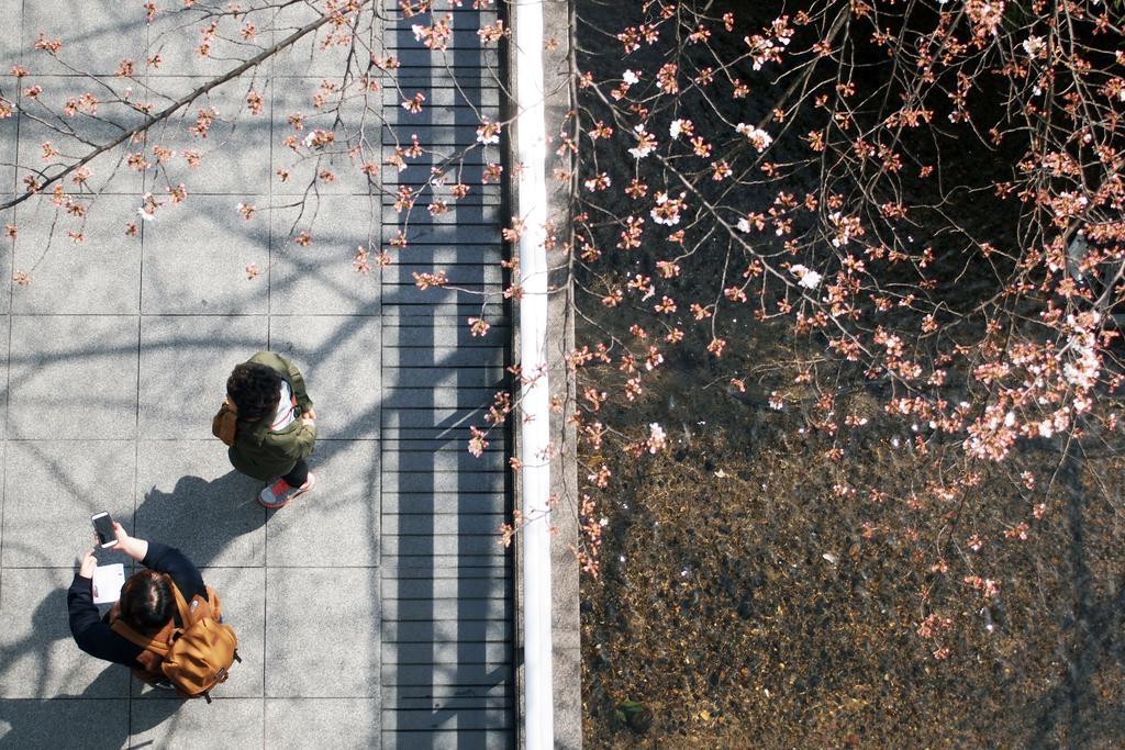 Bijuu Hotel Kyoto Luaran gambar